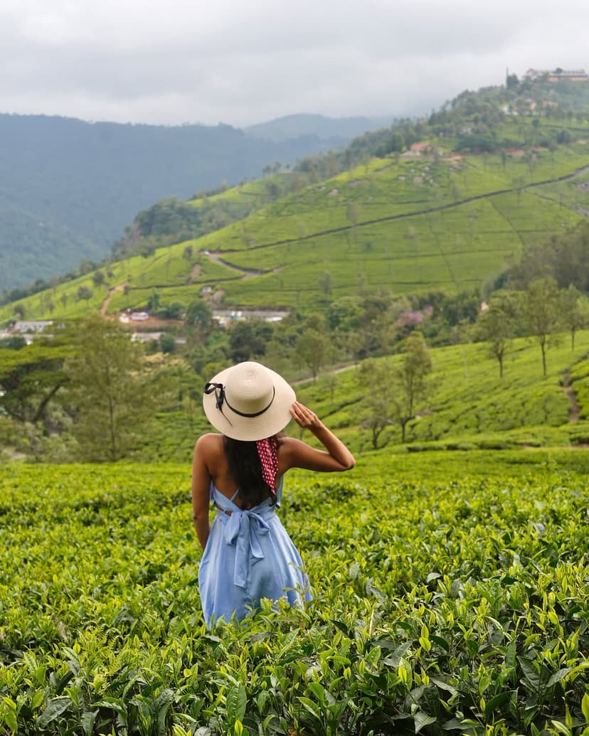 Munnar & Kolukkumalai Jeep Ride Trip from Bangalore poster