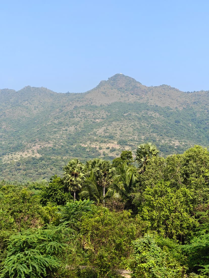 Coorg Mysore Long Weekend Package from Bangalore poster