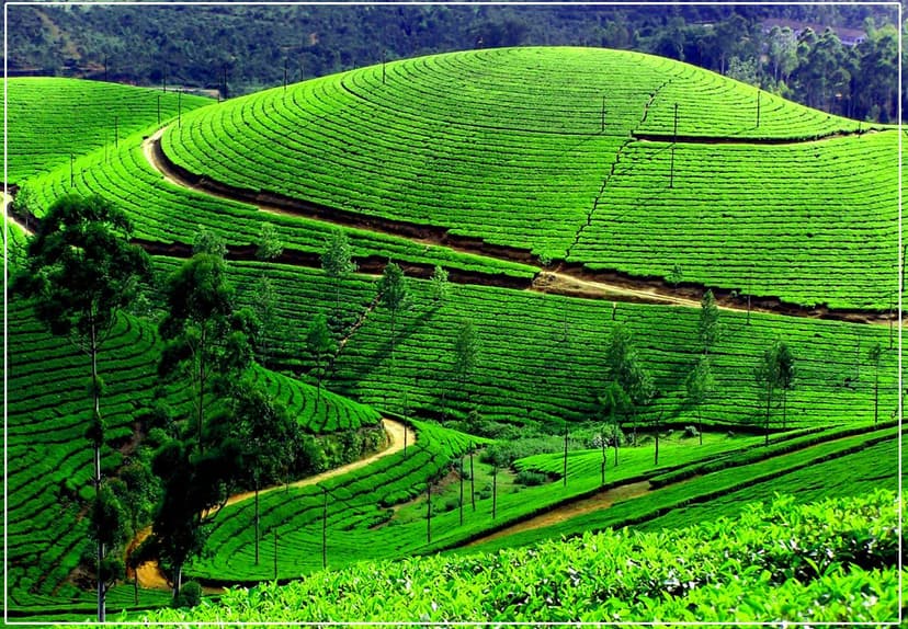 Munnar 3D2N Plan poster