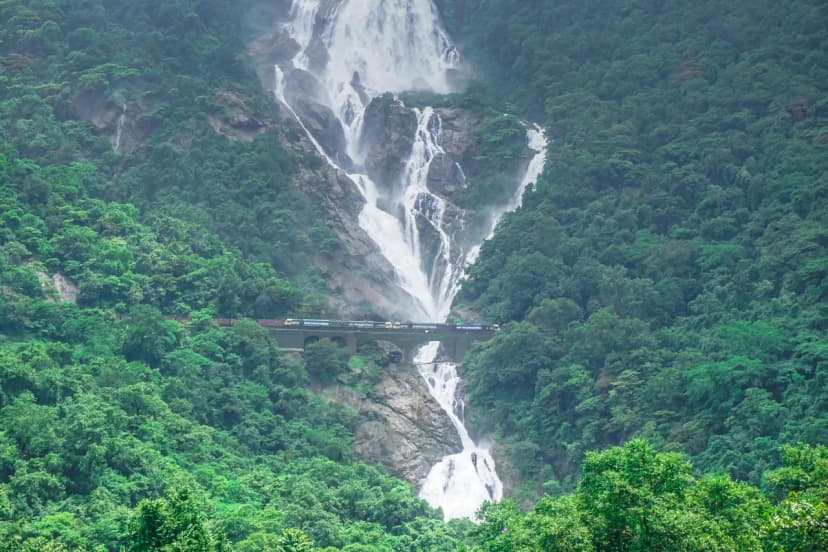 Dudhsagar WaterFall Trek poster