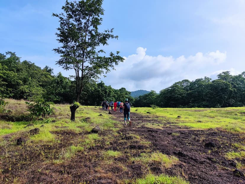 Dudhsagar Dandeli Trek poster
