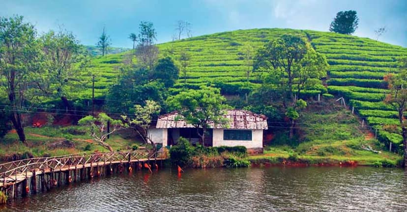 Thekkady - Vagamon poster