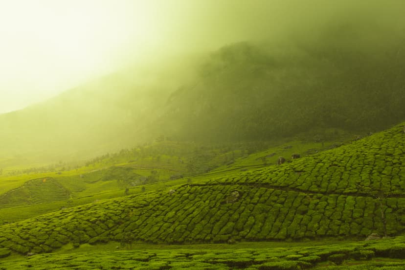Munnar - The Land of Clouds poster
