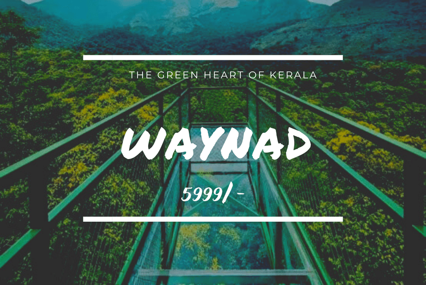 Waynad poster