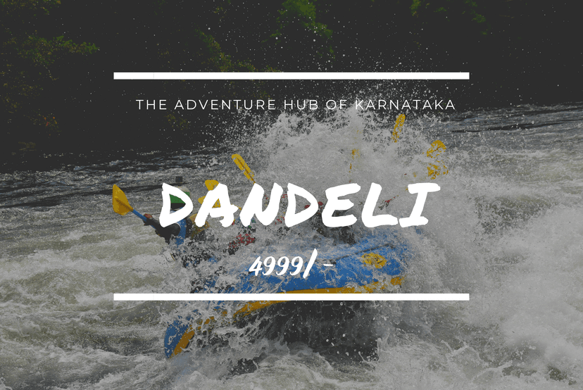 Dandeli poster