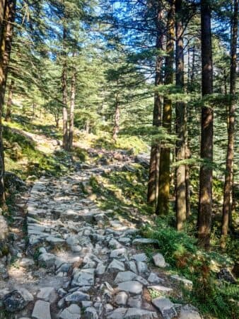 Group trip to Triund