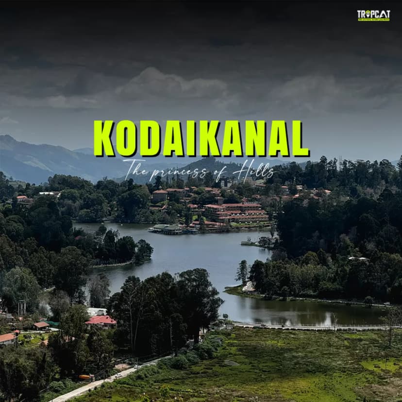 Kodaikanal - Long weekend (3 days) poster