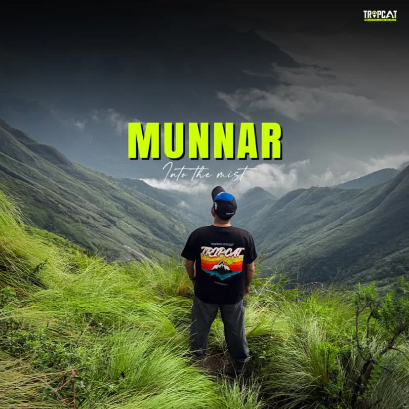 Munnar : Into the Mist poster