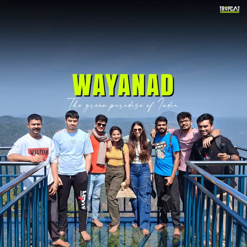 Wayanad - The green paradise poster