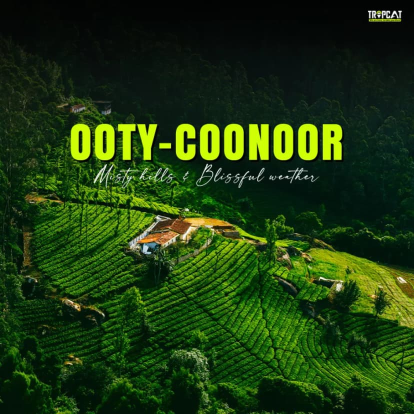 Ooty-Coonoor : Explore Misty Hills & Blissfull Weather poster